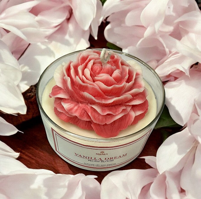 VANILLA DREAM