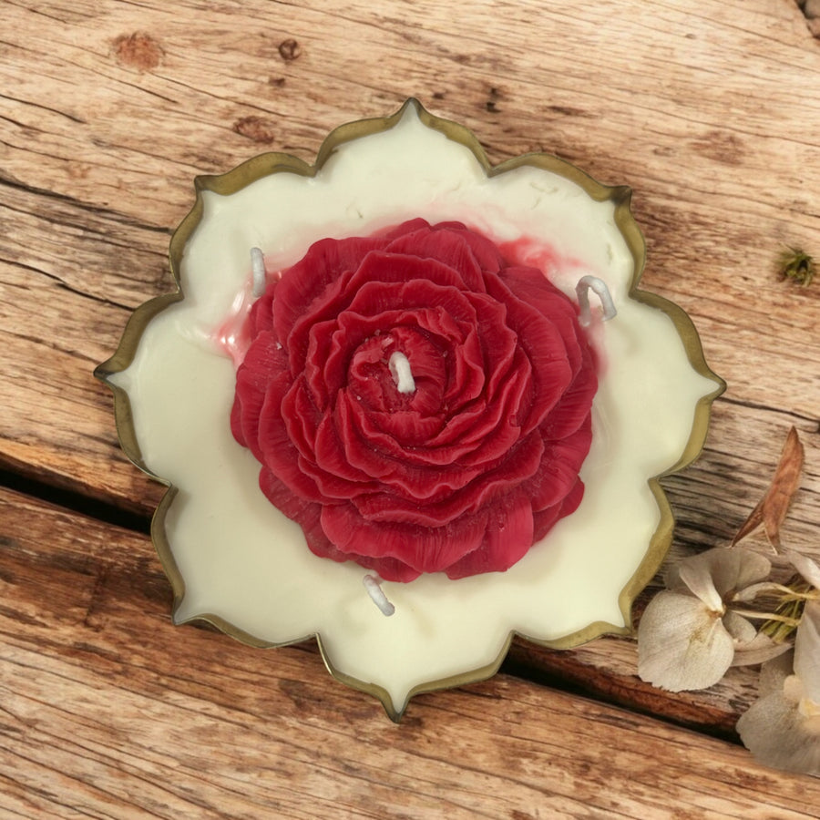 VANILLA DREAM