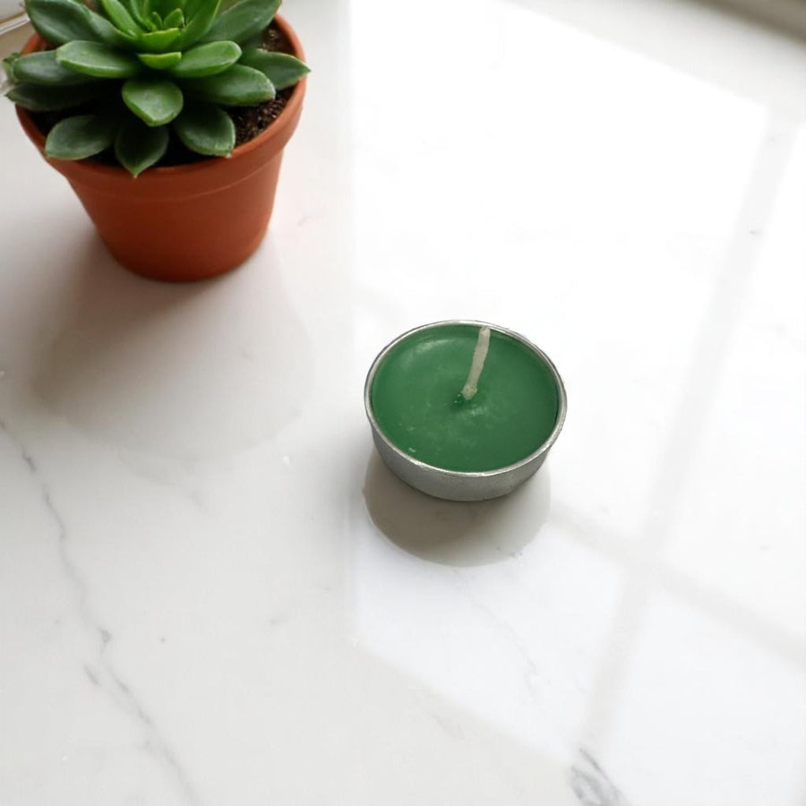 Minty Fresh Tealight Candle - Set of 50 pcs