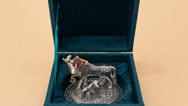 Kamdhenu Grace Box