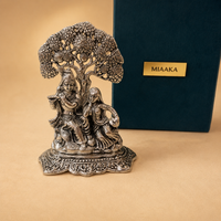 Radha Krishna Blessings