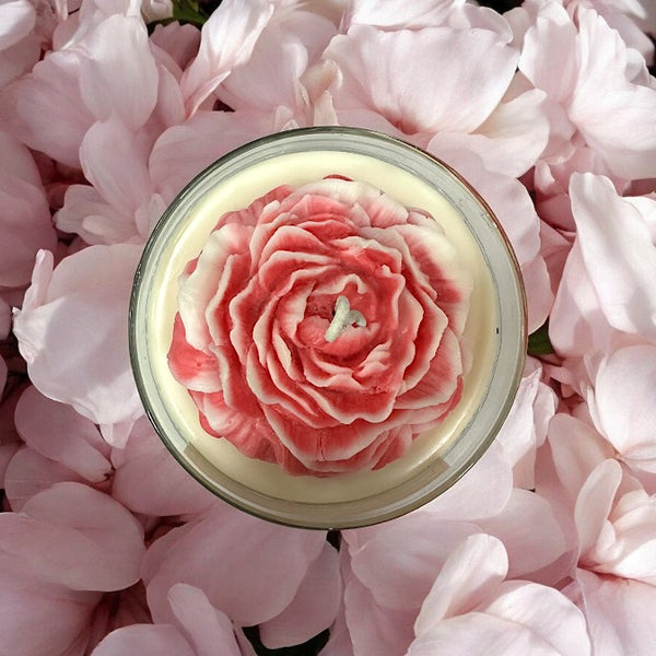 VANILLA DREAM