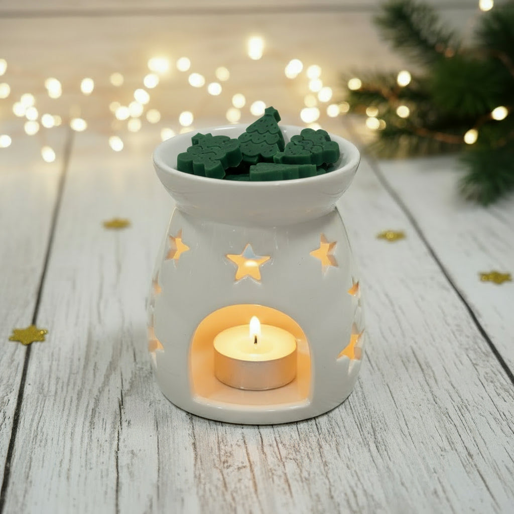 CHRISTMAS WAX MELTS