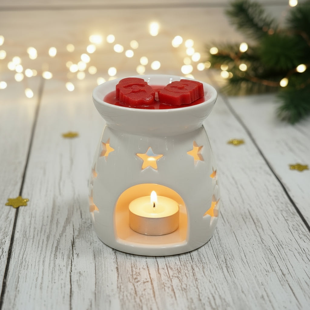 CHRISTMAS WAX MELTS