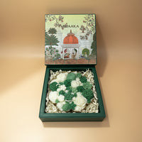 TIMELESS URLI - GREEN