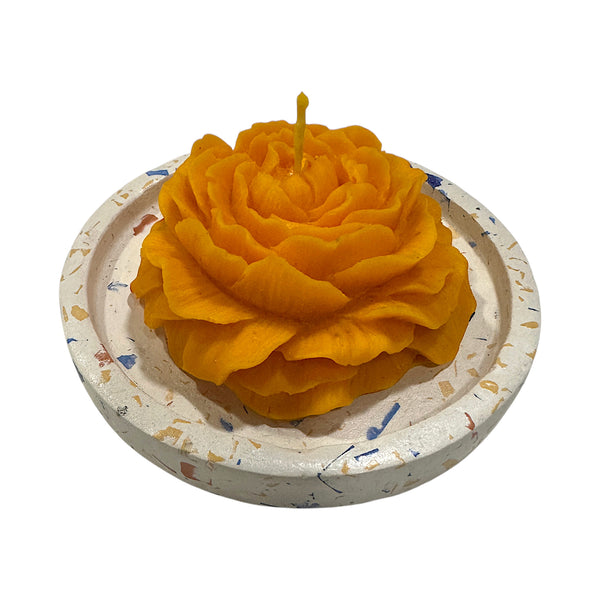 Luma Tray