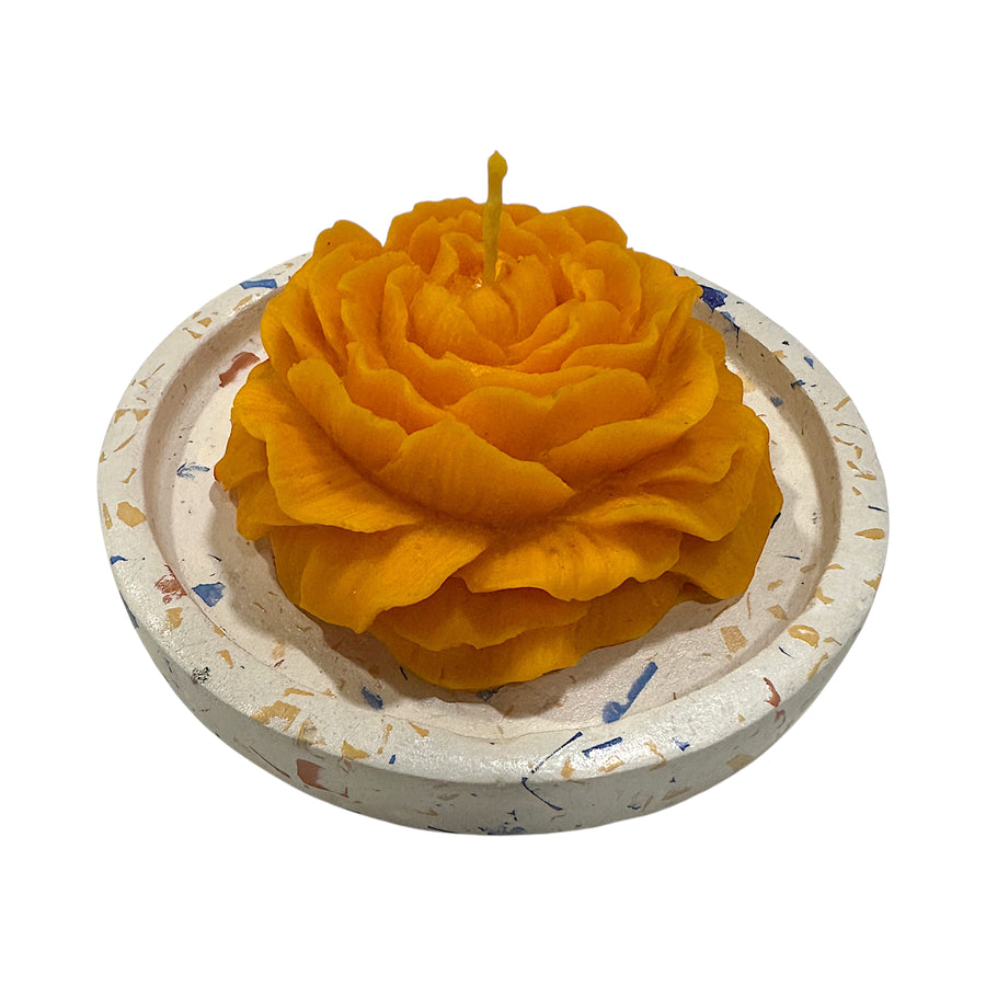 Luma Tray