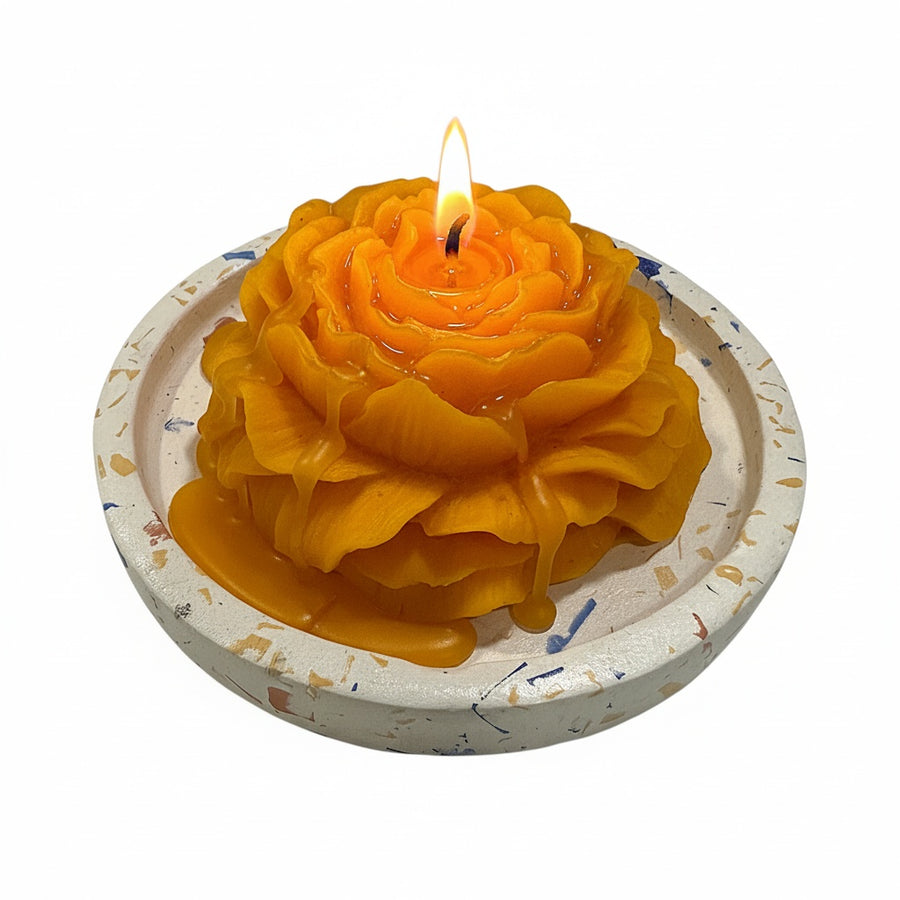 Luma Tray
